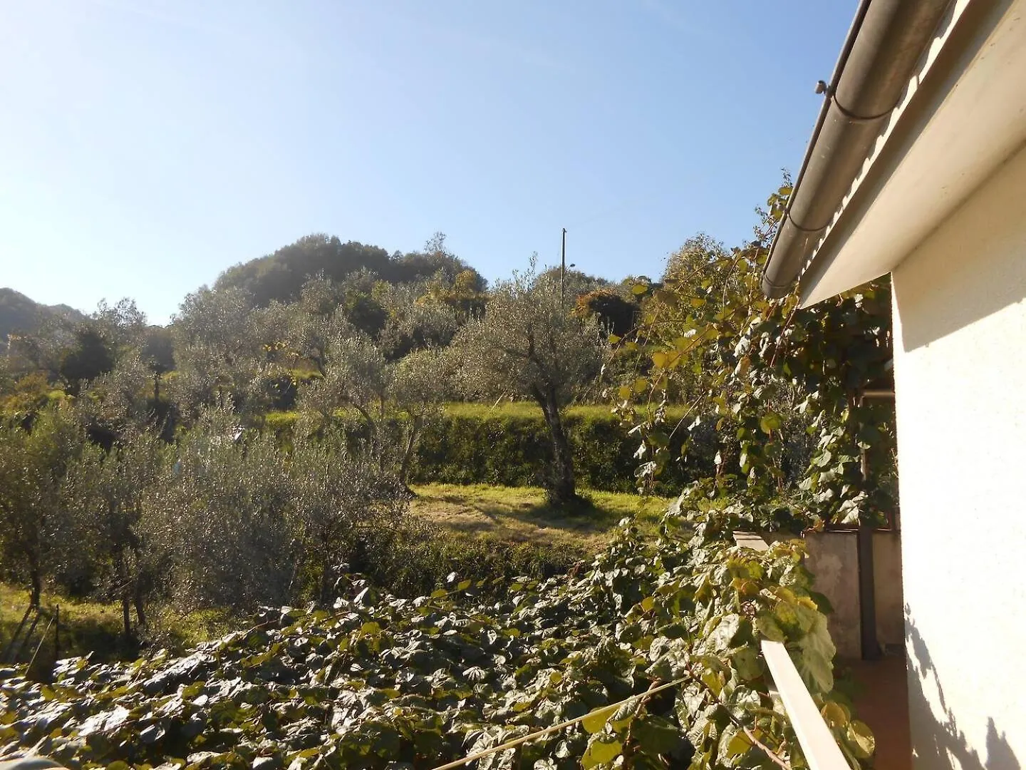 Lägenhet Casa Tulipie, Nel Verde E A Pochi Minuti Dal Mare Uscio
