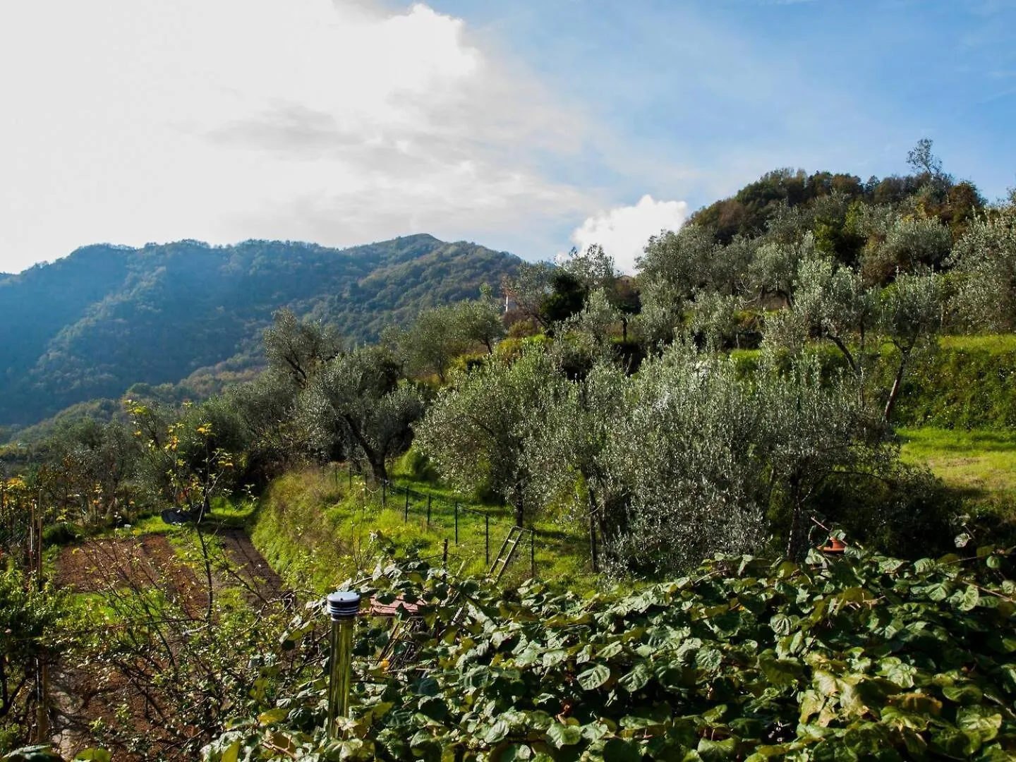 Casa Tulipie, Nel Verde E A Pochi Minuti Dal Mare Uscio 0*,