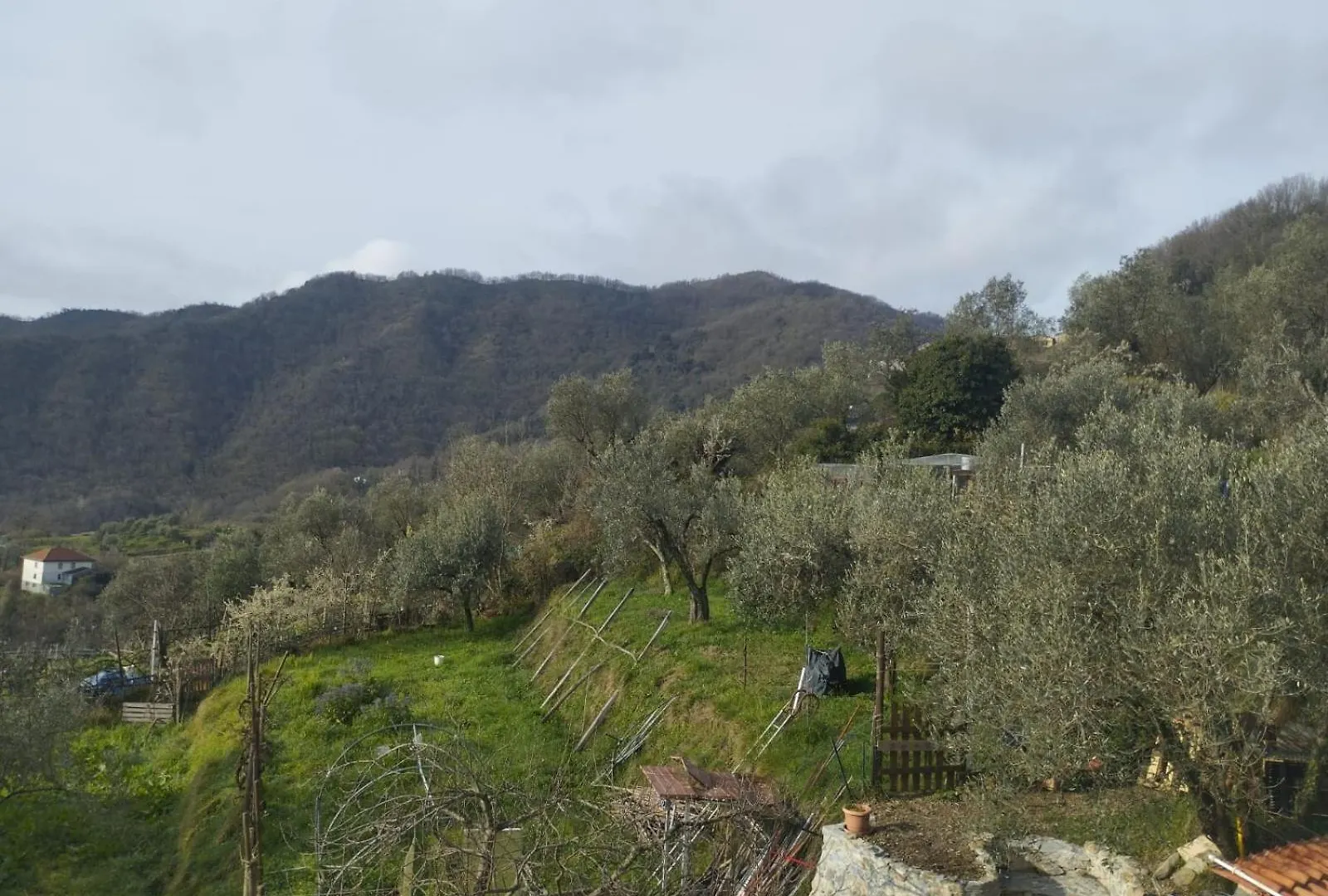 Casa Tulipie, Nel Verde E A Pochi Minuti Dal Mare Uscio